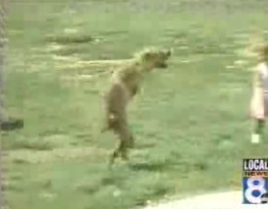 Another Dog-Human Hybrid!